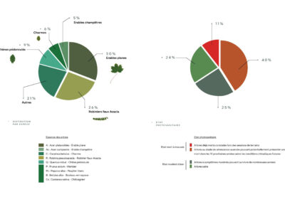 Diagrammes étude phytosanitaire